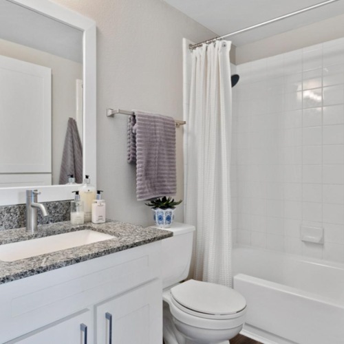 Bathroom options with thoughtful details a bathroom with a tub sink and toilet